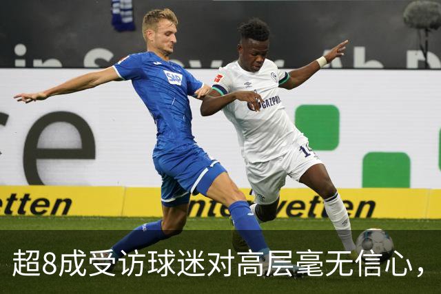 超8成受访球迷对高层毫无信心，热刺球迷信托致信俱乐部表达担忧